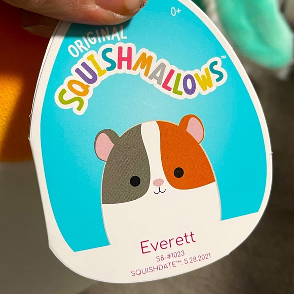 ✨EVERETT✨ 8” Squishmallow Everett the Guinea Pig BNWT - Picture 3 of 3
